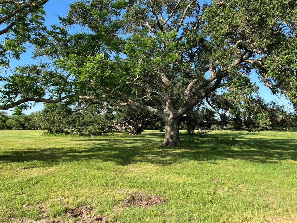 33317 Hwy 36