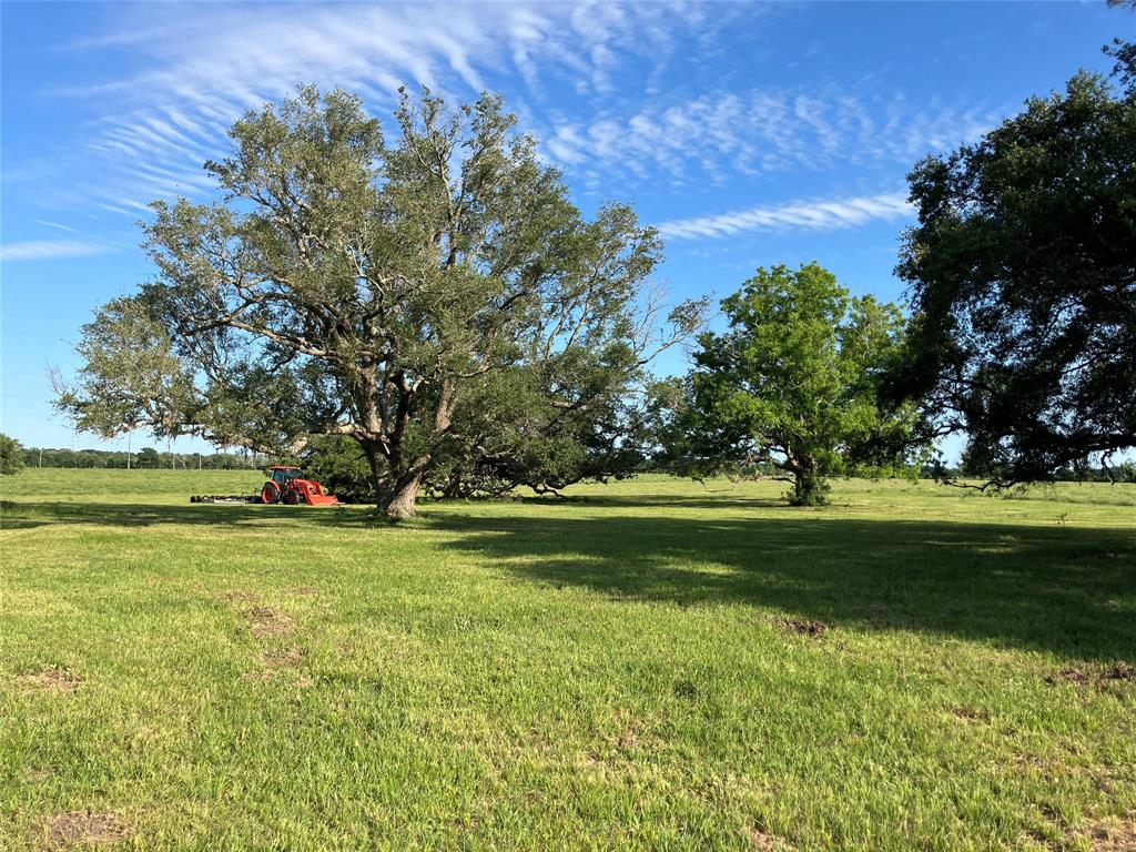 33317 Hwy 36