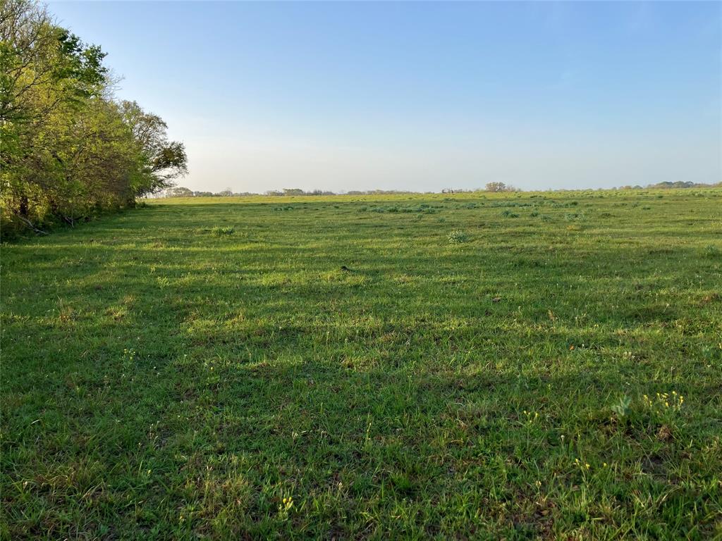 33317 Hwy 36, West Columbia, Texas image 12