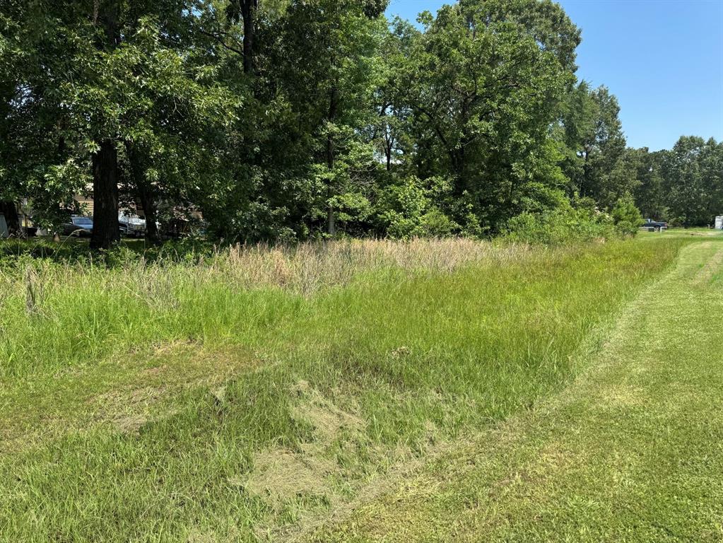 0 Willow Oak Lane