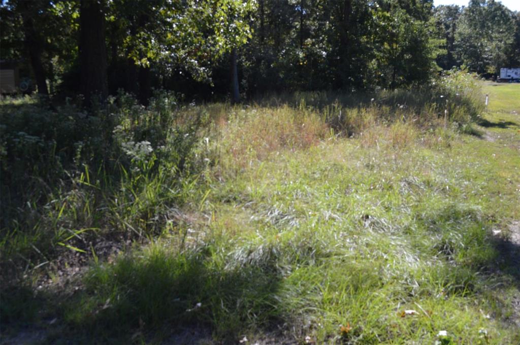 0 Willow Oak Lane