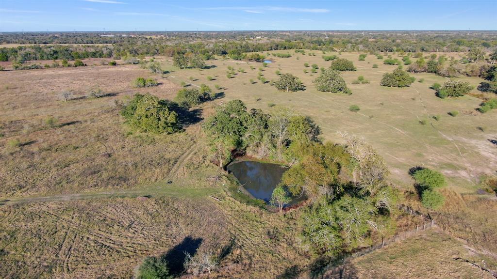 414 N Old Springfield Road, North Zulch, Texas image 6