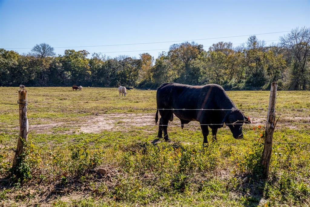 4731 Fm 1457, Round Top, Texas image 18