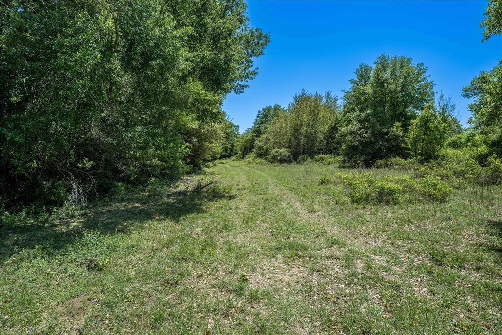 4731 Fm 1457, Round Top, Texas image 9