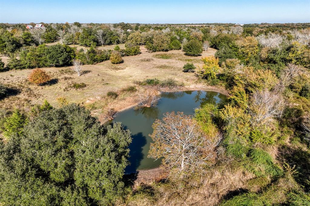 4731 Fm 1457, Round Top, Texas image 1