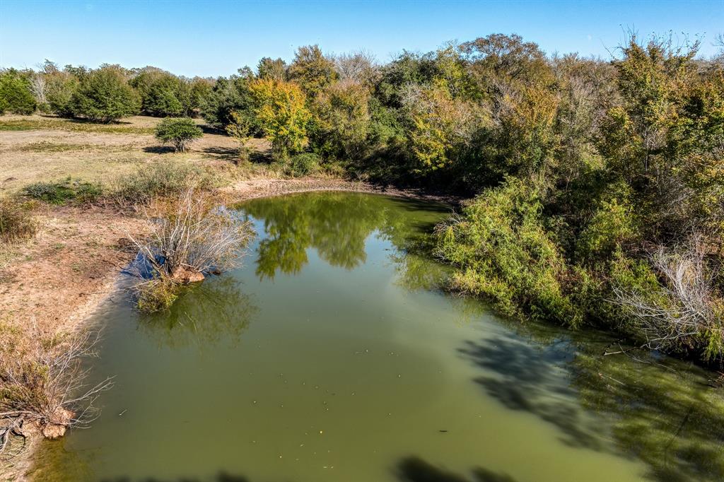 4731 Fm 1457, Round Top, Texas image 17