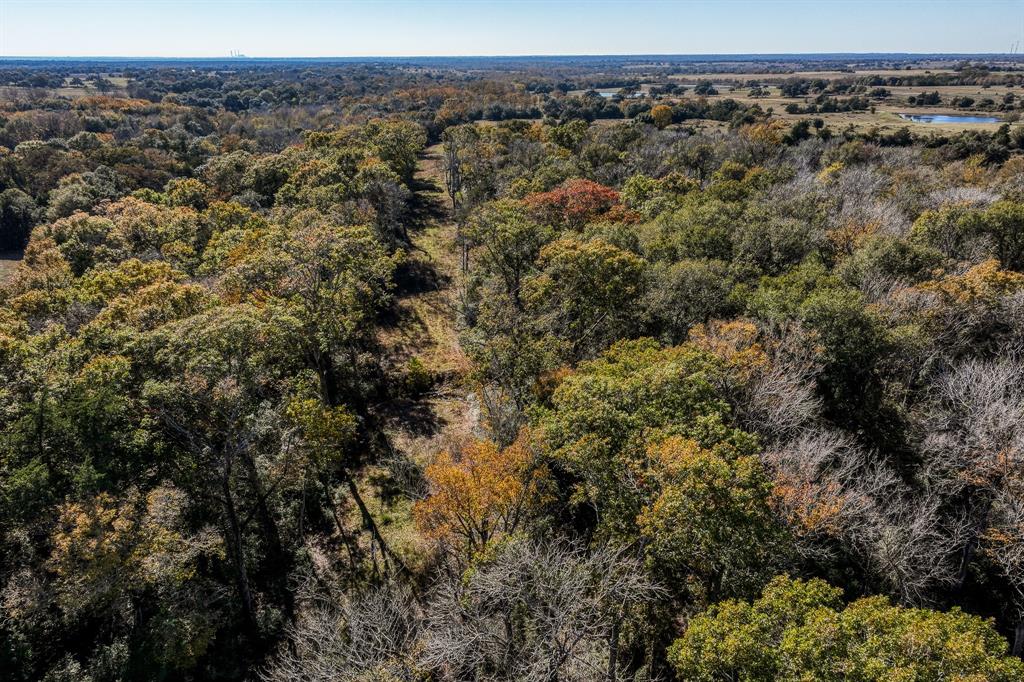 4731 Fm 1457, Round Top, Texas image 23