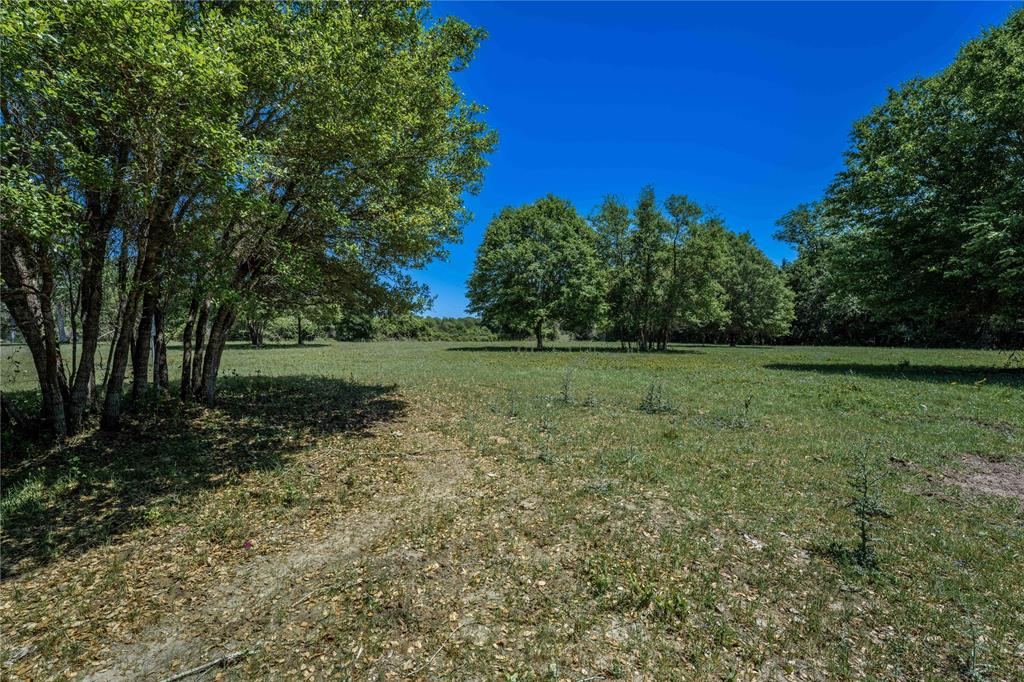 4731 Fm 1457, Round Top, Texas image 3