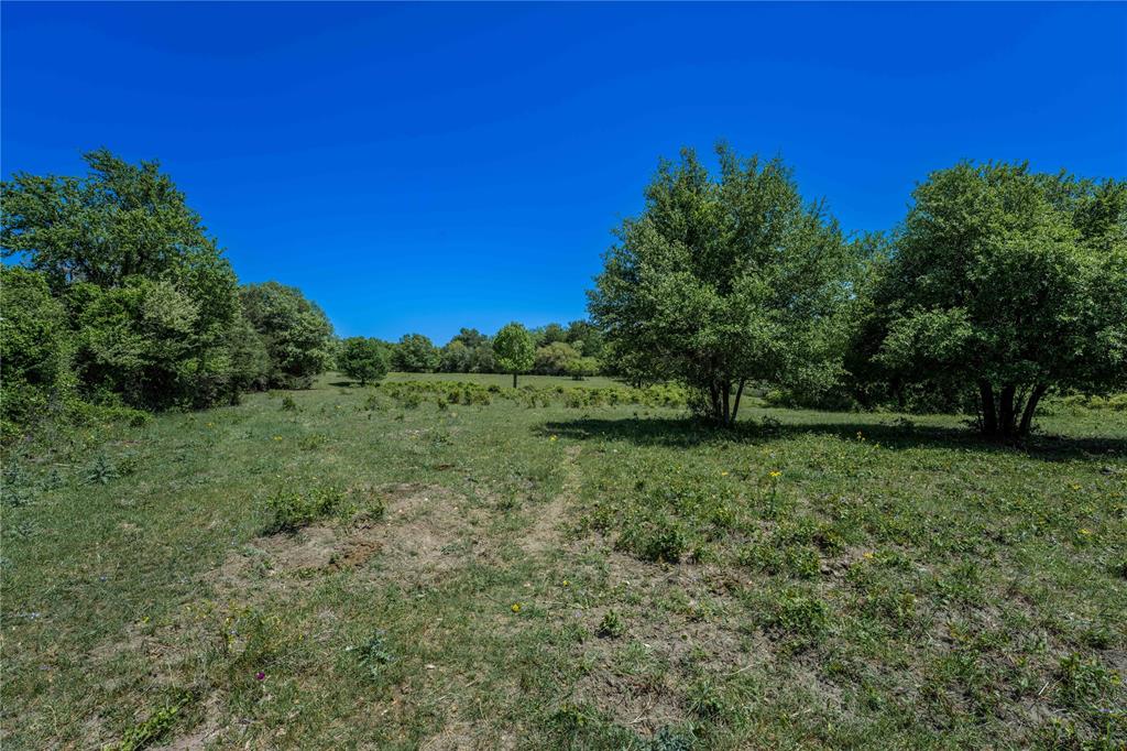 4731 Fm 1457, Round Top, Texas image 8
