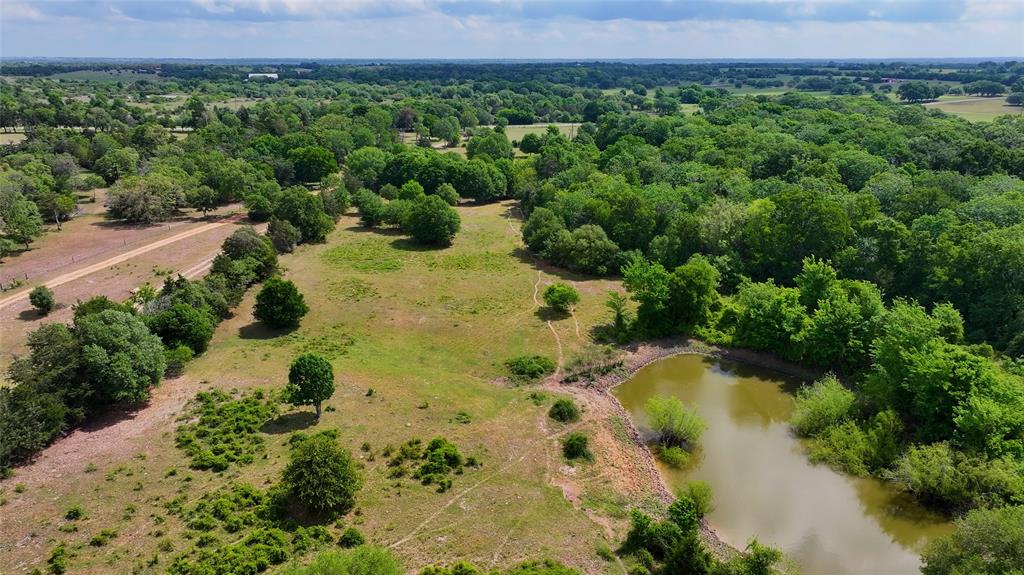4731 Fm 1457, Round Top, Texas image 5