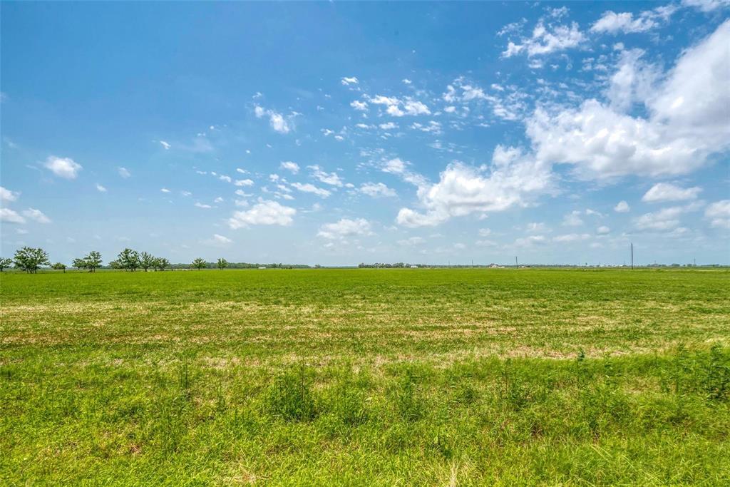 Knolle Road, Damon, Texas image 12