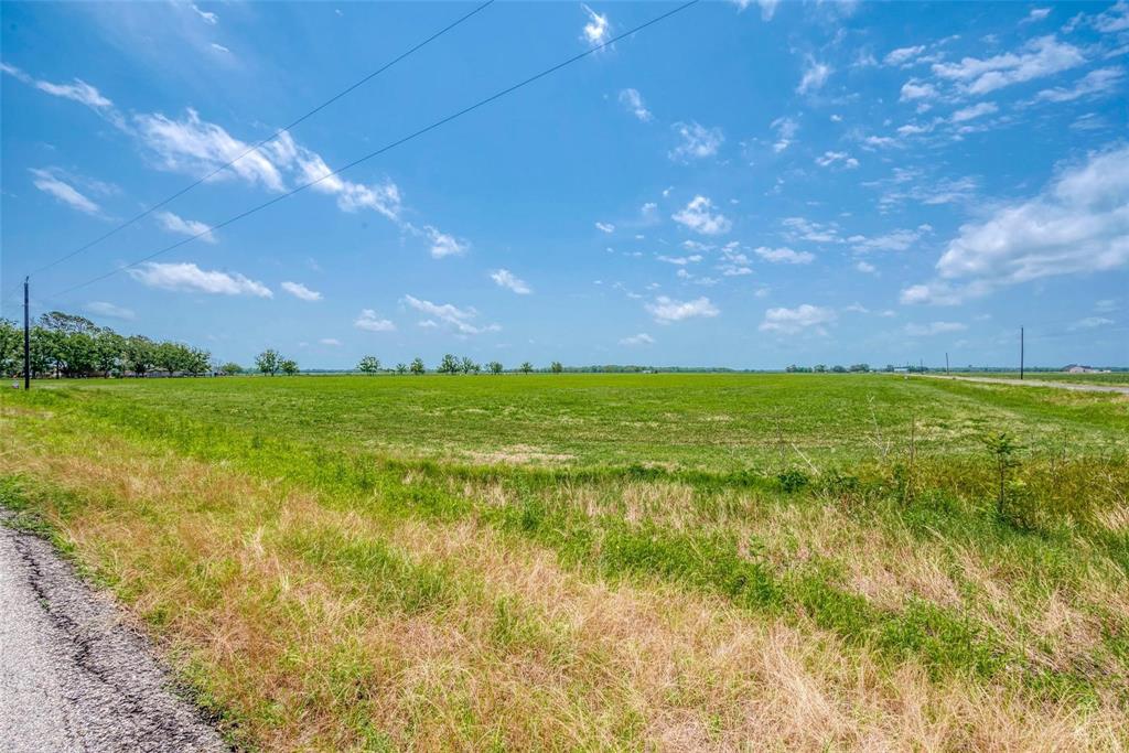 Knolle Road, Damon, Texas image 7