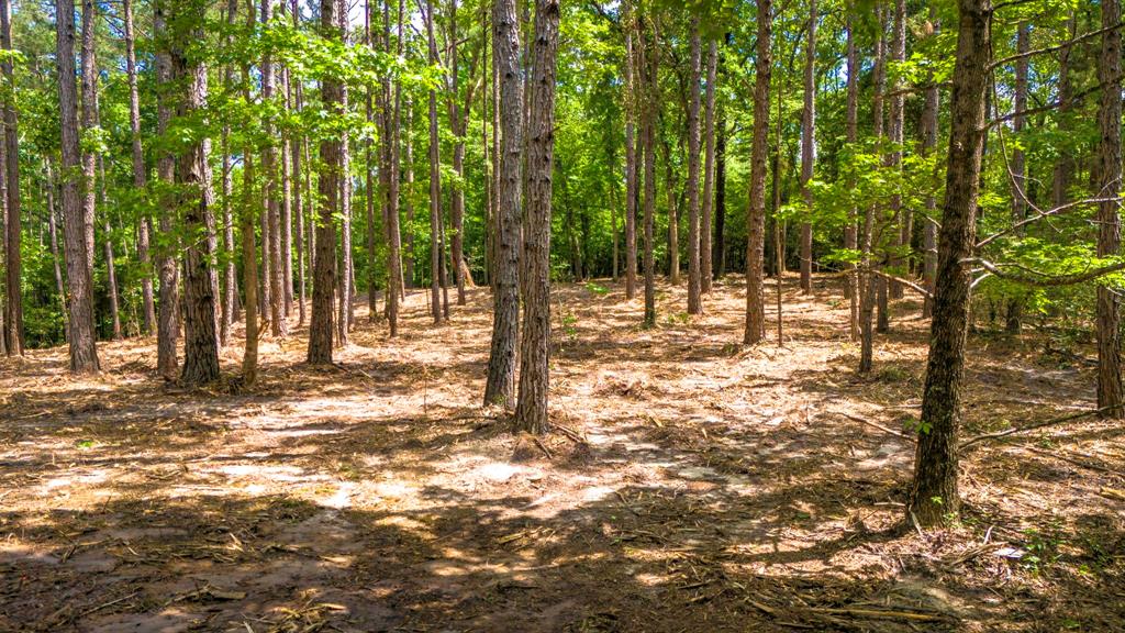 TBD Park St, Nacogdoches, Texas image 8