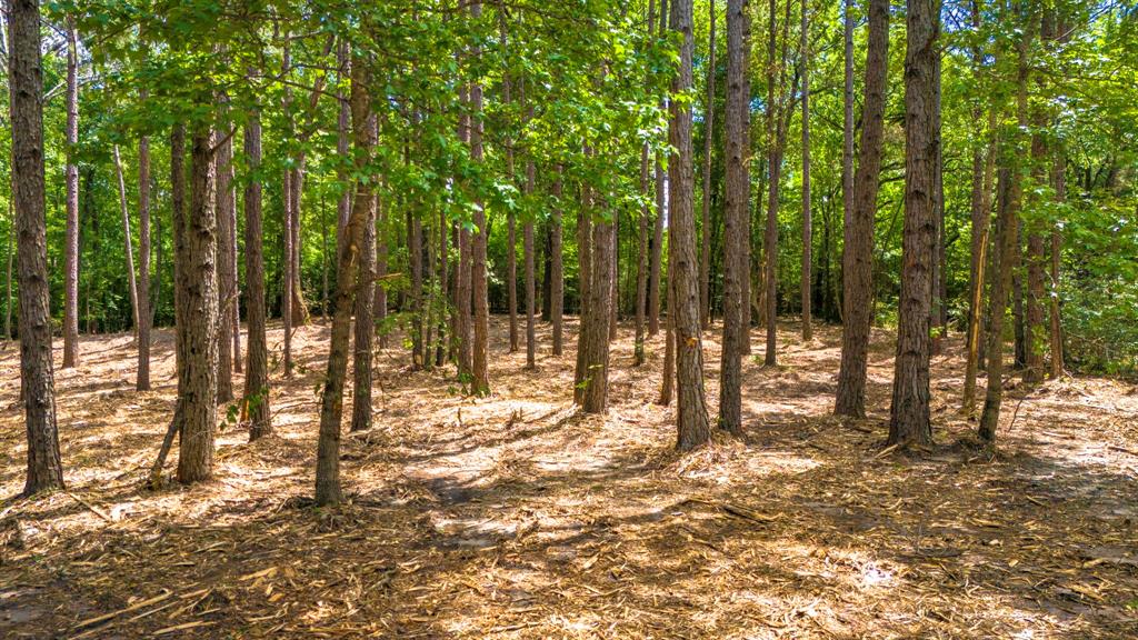 TBD Park St, Nacogdoches, Texas image 7