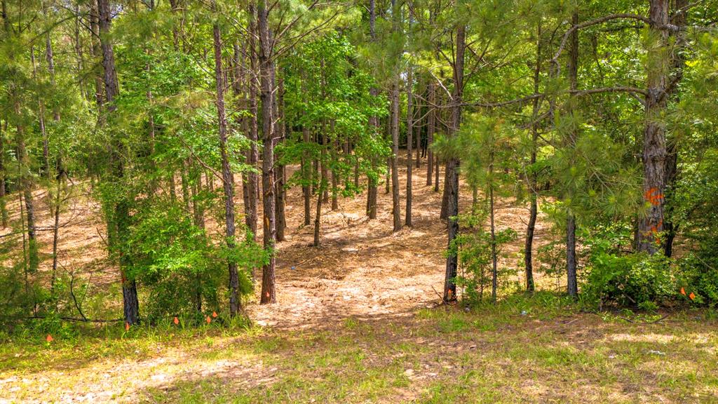 TBD Park St, Nacogdoches, Texas image 3
