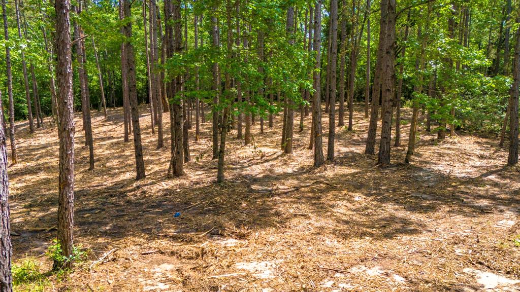 TBD Park St, Nacogdoches, Texas image 9