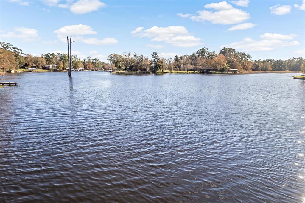 527 Cypress Bend Drive, Village Mills, Texas image 27