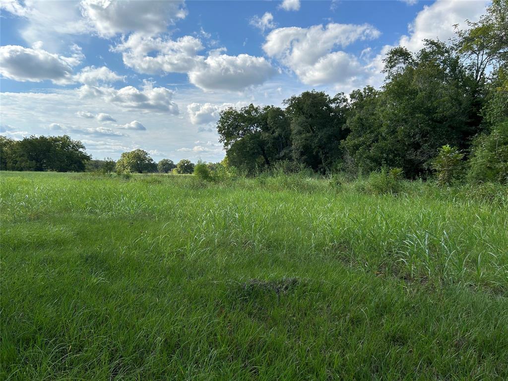 0000 Tx-105, Brenham, Texas image 14