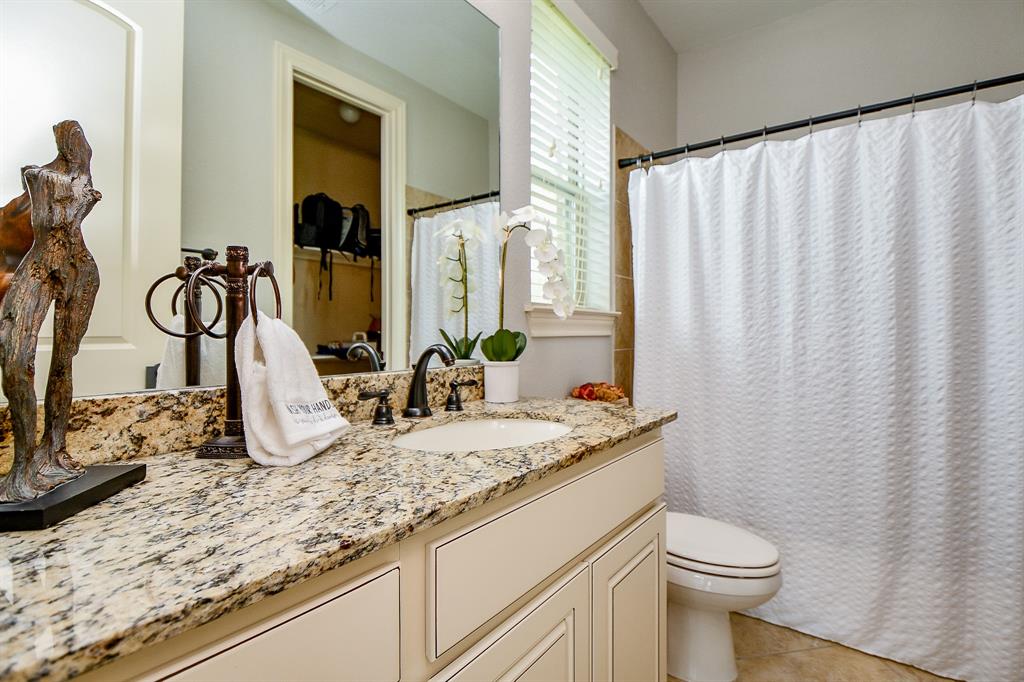 29016 Concan Crossing Court, Katy, Texas image 34