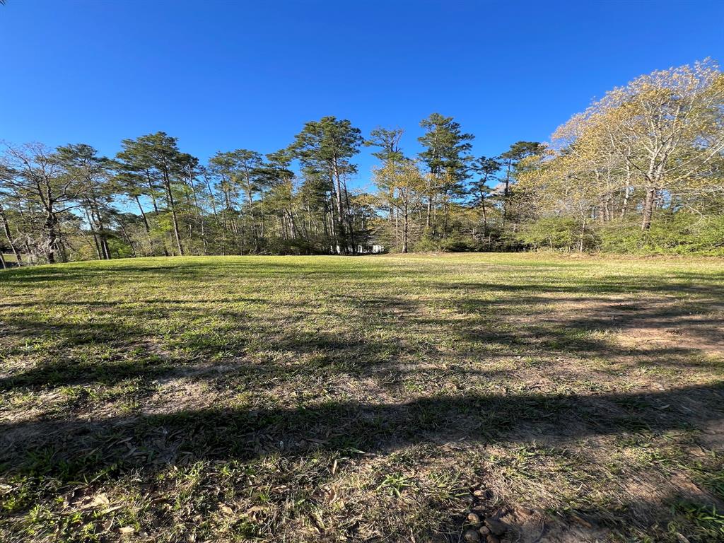 474 Arrowhead Drive, Onalaska, Texas image 6