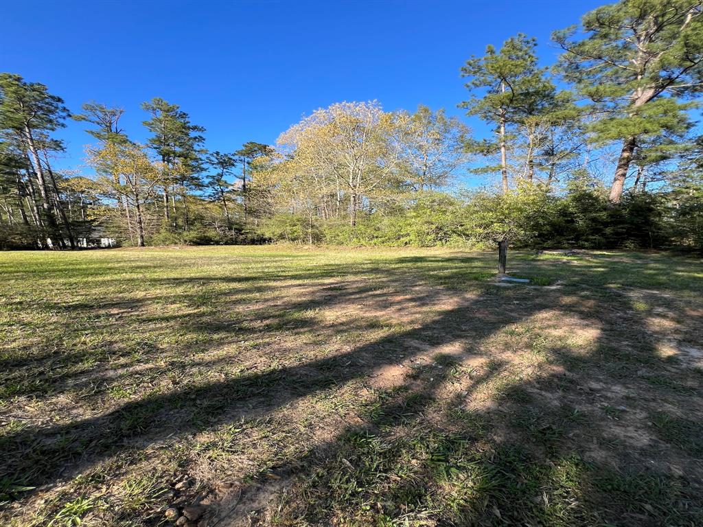 474 Arrowhead Drive, Onalaska, Texas image 8