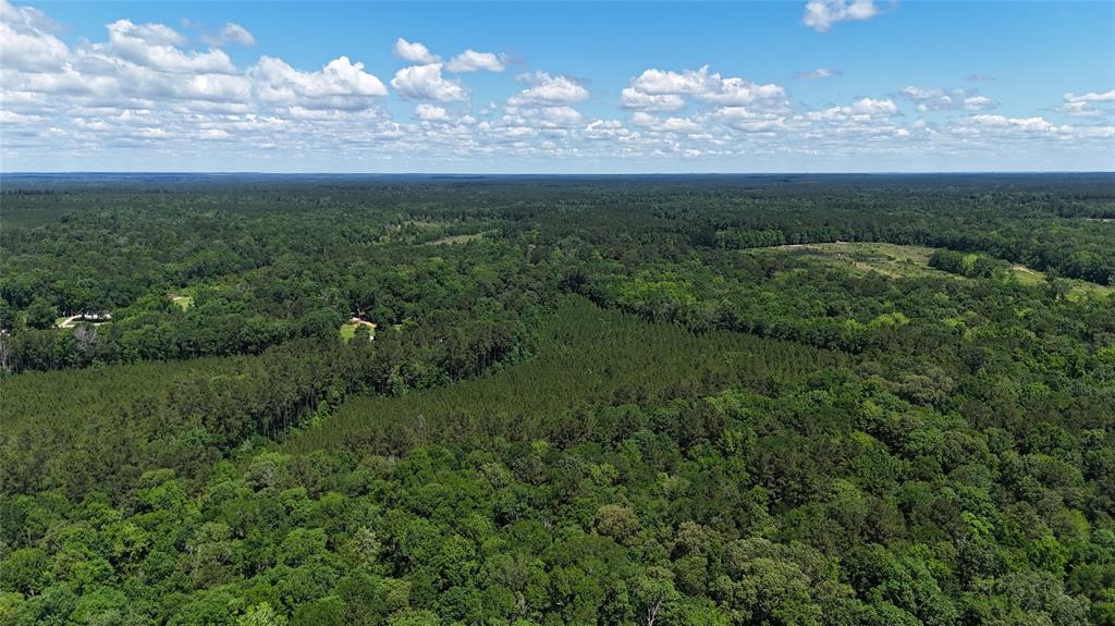 TBD Upper Leggett Road, Leggett, Texas image 7