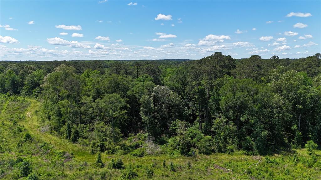 TBD Upper Leggett Road, Leggett, Texas image 13