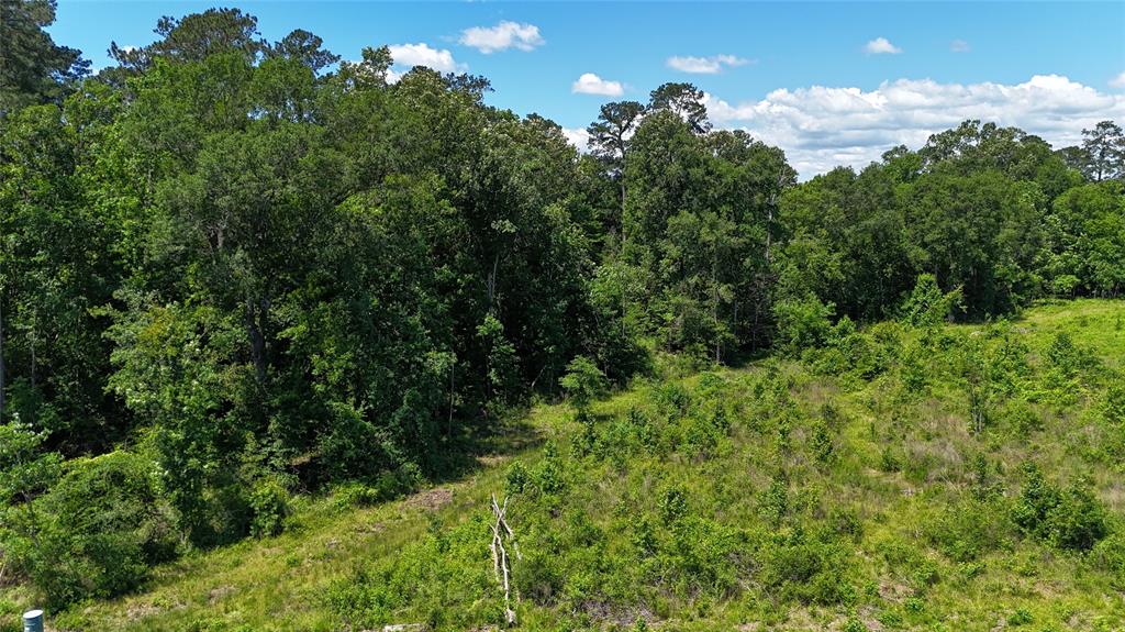 TBD Upper Leggett Road, Leggett, Texas image 15