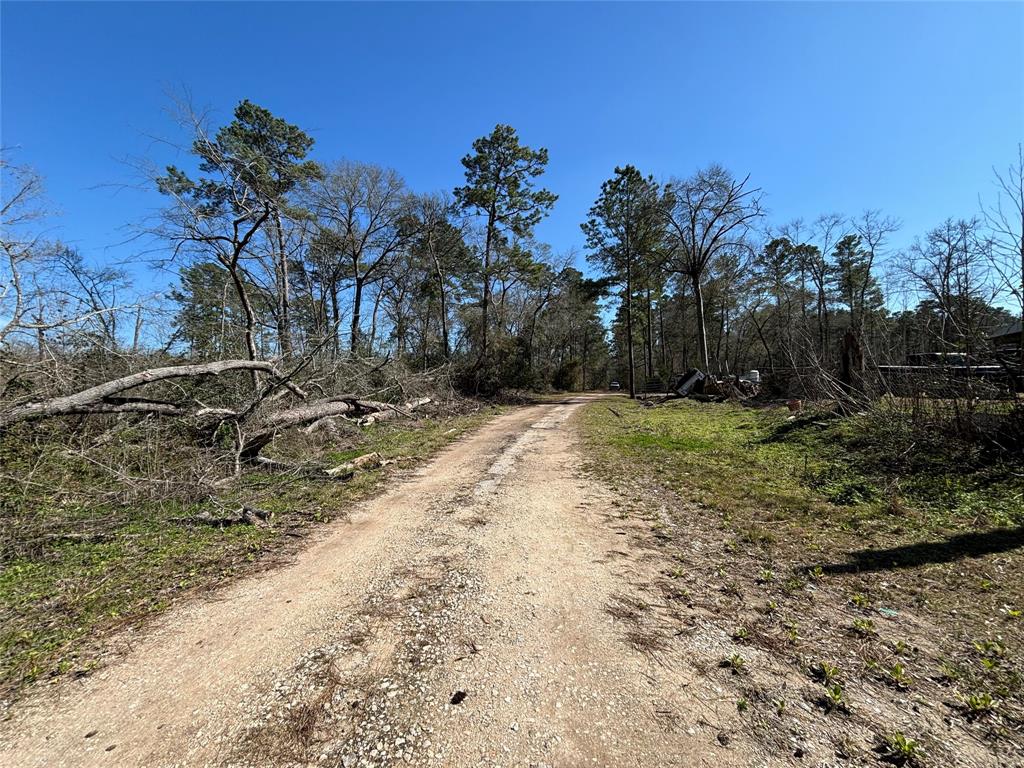 15957 Largent Drive, Plantersville, Texas image 4