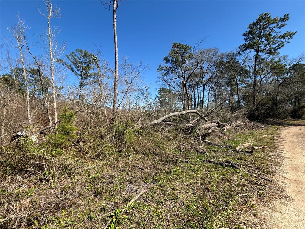 15957 Largent Drive, Plantersville, Texas image 1