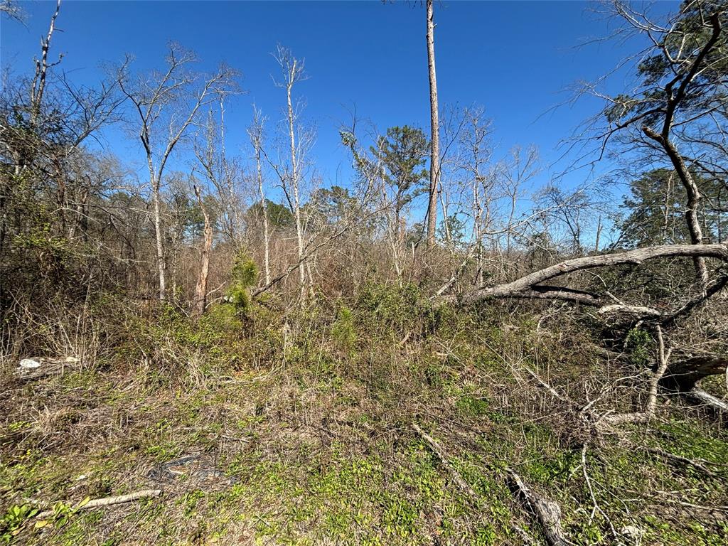 15957 Largent Drive, Plantersville, Texas image 2