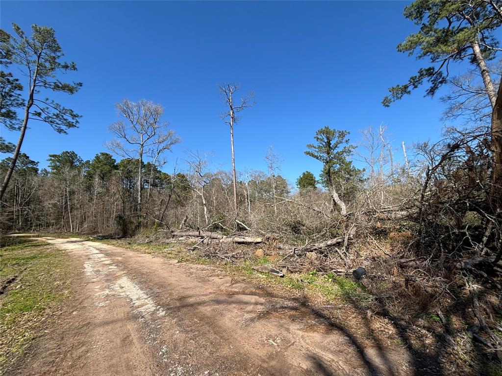 15957 Largent Drive, Plantersville, Texas image 3