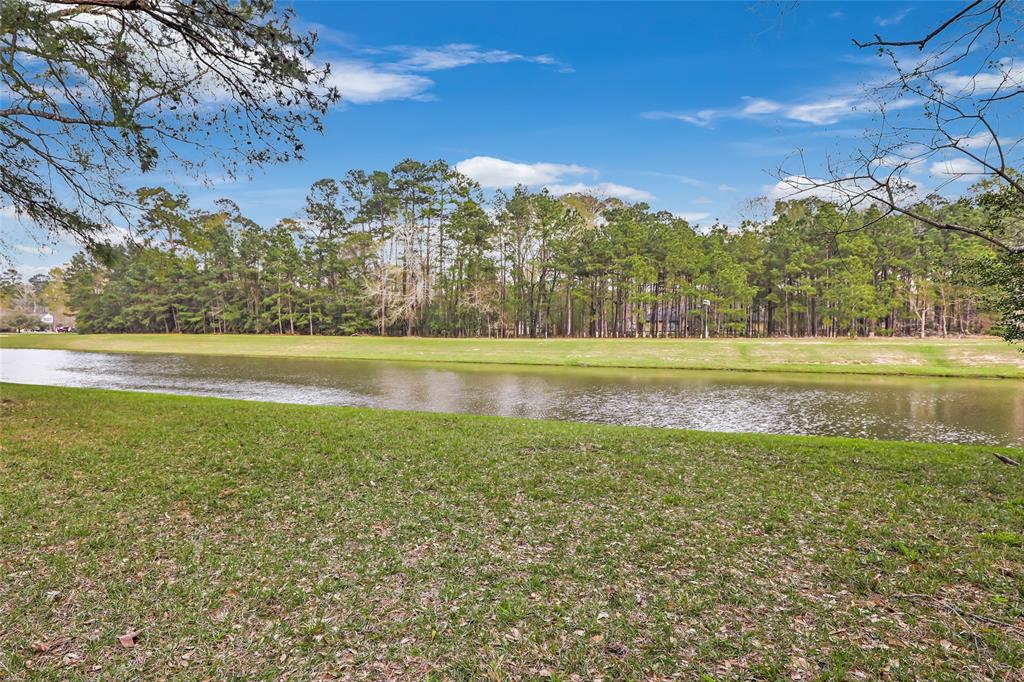 29007 Smugglers Court, Huffman, Texas image 48
