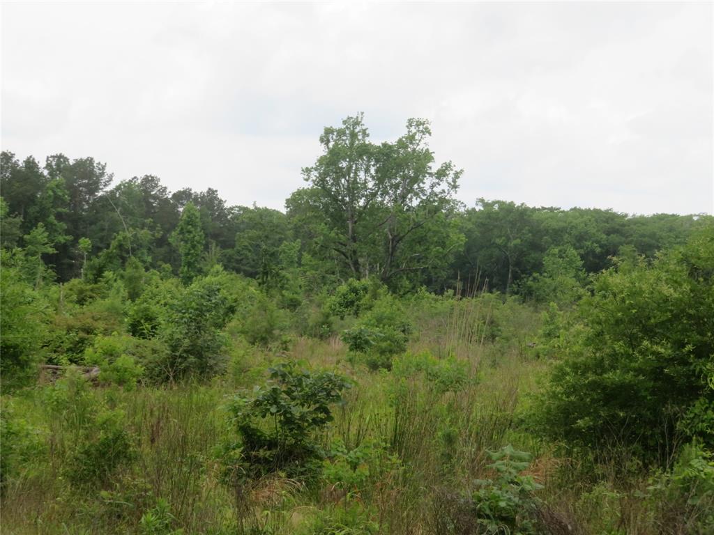 28409 Tx-146, Cleveland, Texas image 5