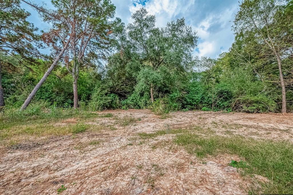 00 Washington Street, Houston, Texas image 5