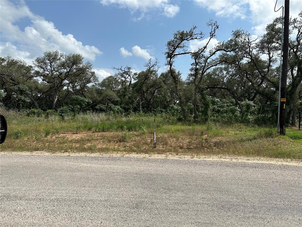 TBD Gadwall Lane, Columbus, Texas image 11