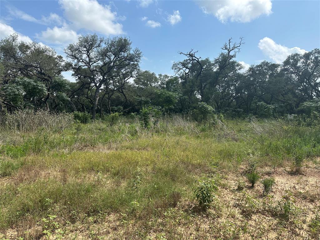 TBD Gadwall Lane, Columbus, Texas image 13