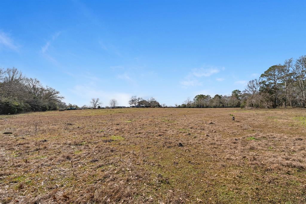 13236 Reeves Cemetery Rd, Dayton, Texas image 6