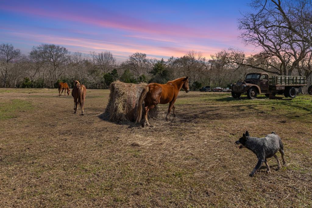 13236 Reeves Cemetery Rd, Dayton, Texas image 9