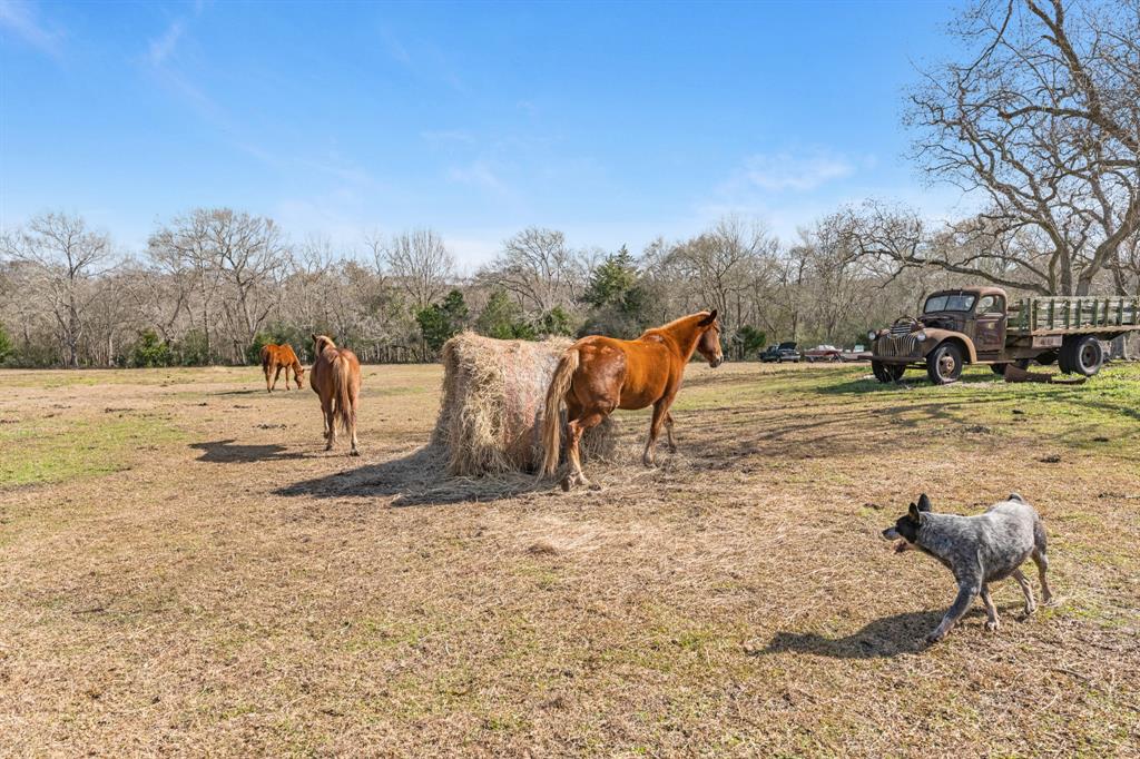 13236 Reeves Cemetery Rd, Dayton, Texas image 1