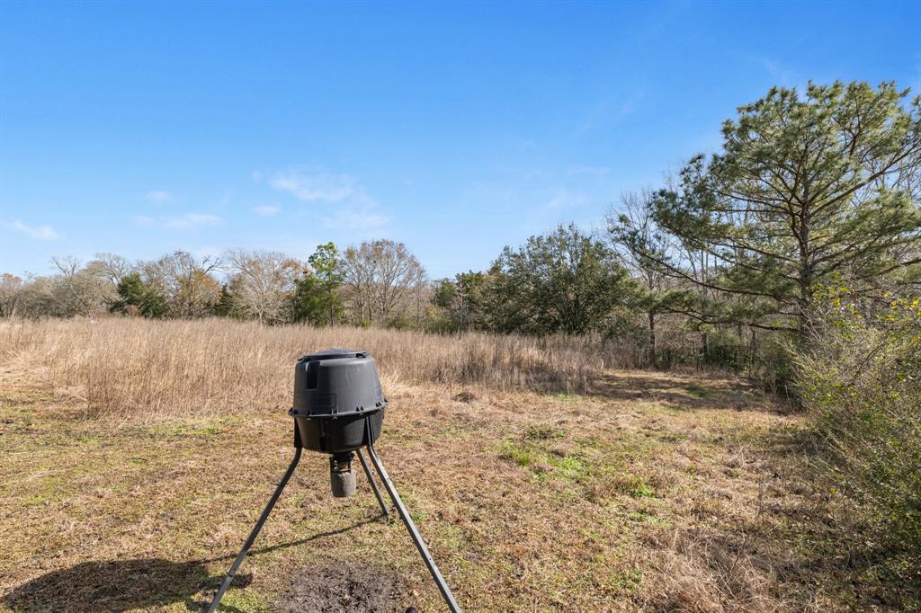 13236 Reeves Cemetery Rd, Dayton, Texas image 10