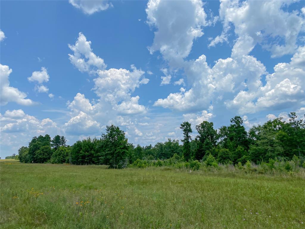 Us Hwy 59, Corrigan, Texas image 11