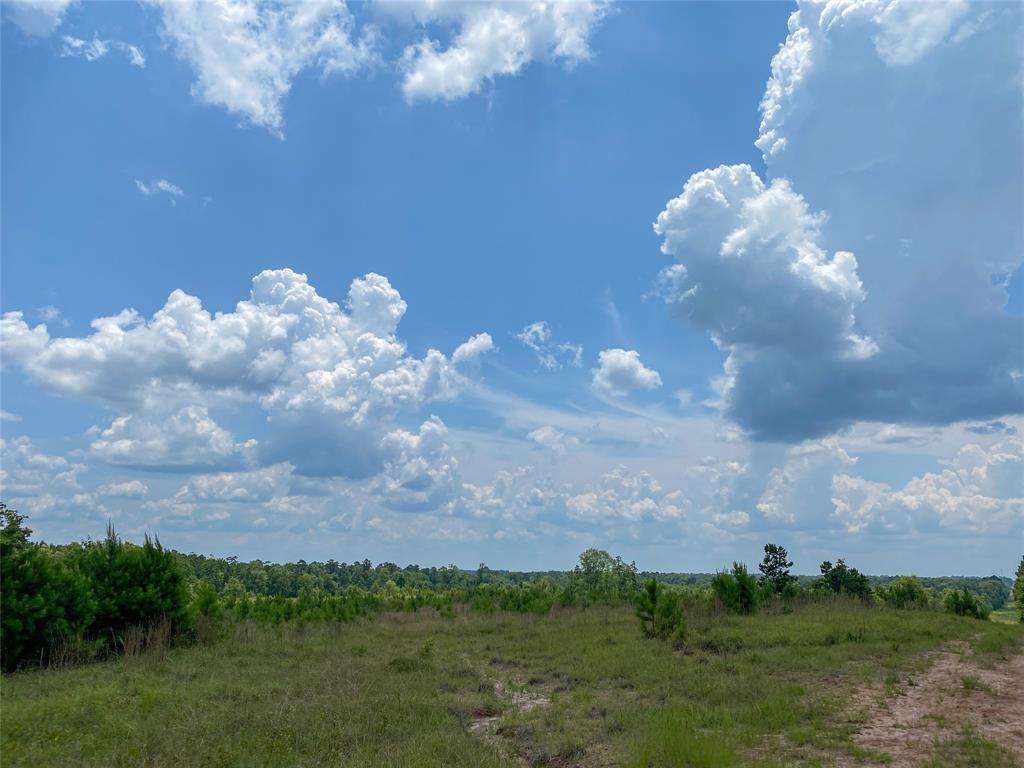 Us Hwy 59, Corrigan, Texas image 9