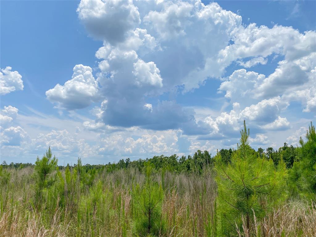 Us Hwy 59, Corrigan, Texas image 13