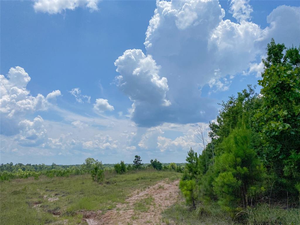 Us Hwy 59, Corrigan, Texas image 8