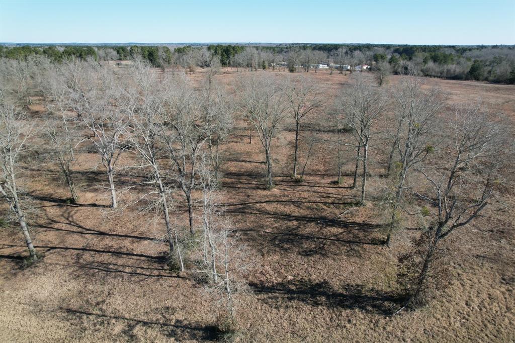 TBD Hwy 87 N, Timpson, Texas image 6