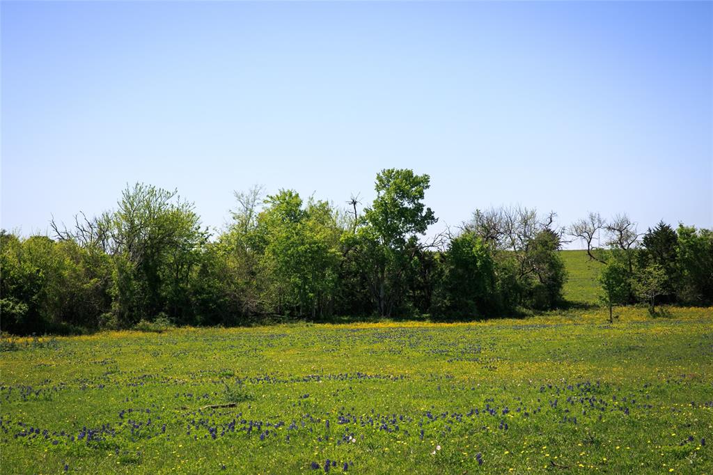 TRACT 3 Caney Creek Rd, Chappell Hill, Texas image 4