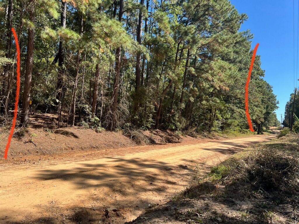 Monroe Drive, Livingston, Texas image 3