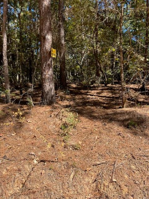 Photo of 0 Monroe Drive, Livingston, TX 77351 (MLS # 4341645)