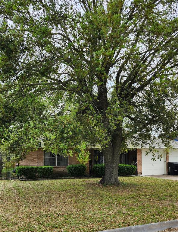 5246 Tavenor Lane, Houston, Texas image 2